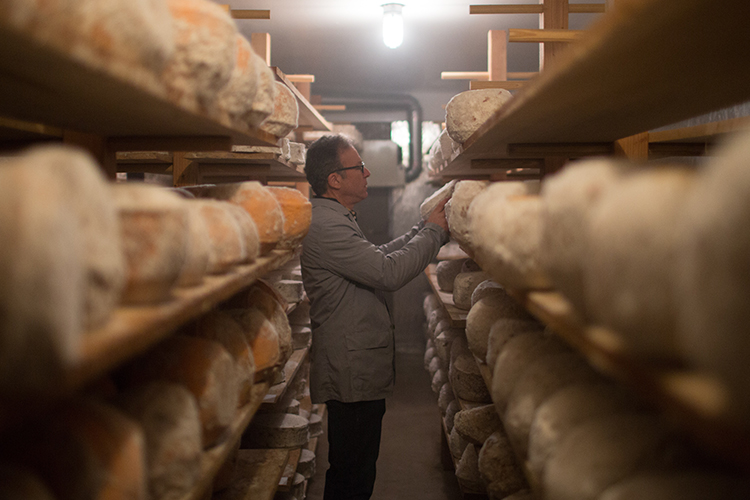cheese aging cellar
