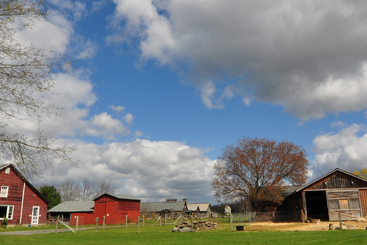 Sprout Creek Farm