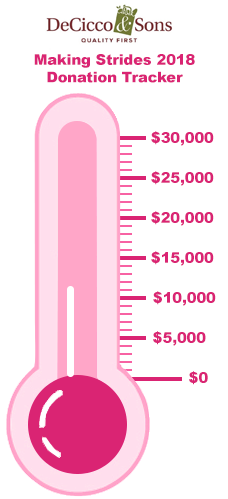 Making Strides 2018 for Breast Cancer Donation Tracker