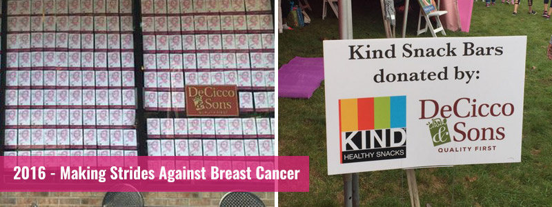 2016 Making Strides Against Breast Cancer