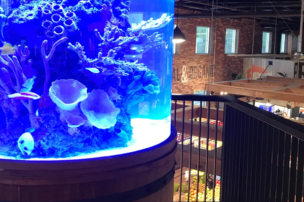 Aquarium in the Somers DeCicco and Sons location